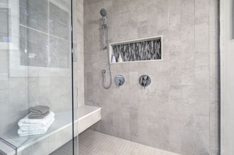 Modern Shower Area